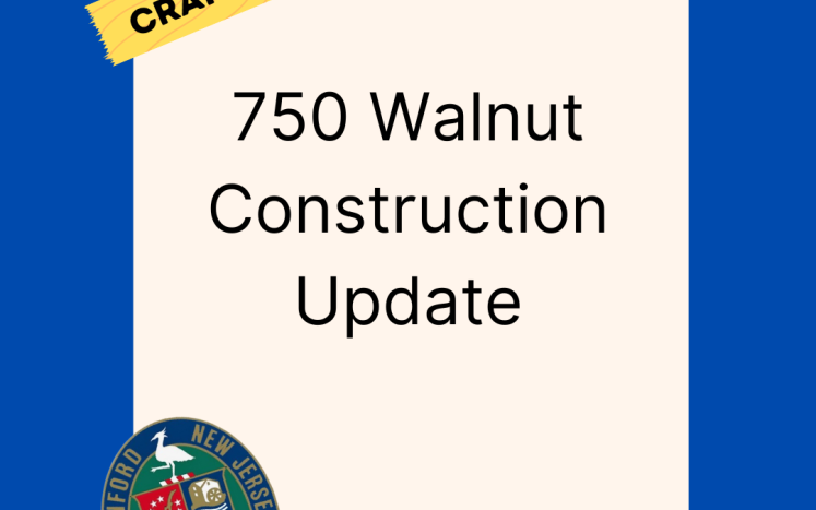 750 Walnut update